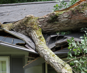 Tree causing storm damage on roof